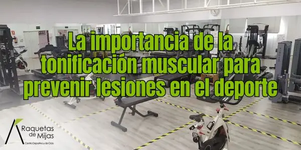 importancia-tonificacion-muscular